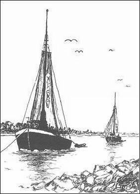 Zeichnung: Heinz Schneider, 2008