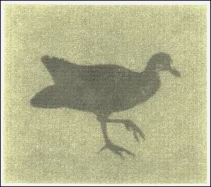 Das Altriper Wasserhinkel