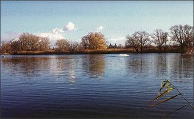 Kreiselbelüfter im Einsatz.