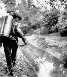 Bekämpfung der Stechmücken- und Schnakenplage