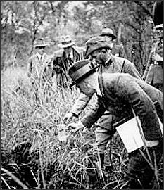 Bekämpfung der Stechmücken- und Schnakenplage