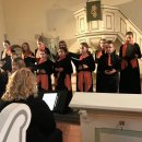 Neujahrskonzert – Altriper Rheinfinken | 09.02.2019