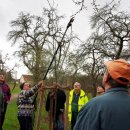 9./16.03.2019 | Baumpflege unter professioneller Anleitung  – ALTRIP BLÜHT