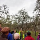 Baumpflege unter professioneller Anleitung  – ALTRIP BLÜHT | 09.03.2019