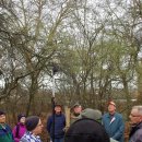 Baumpflege unter professioneller Anleitung  – ALTRIP BLÜHT | 09.03.2019