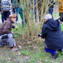 Baumpflege unter professioneller Anleitung  – ALTRIP BLÜHT | 09.03.2019