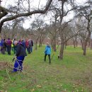 9./16.03.2019 | Baumpflege unter professioneller Anleitung  – ALTRIP BLÜHT