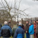 Baumpflege unter professioneller Anleitung  – ALTRIP BLÜHT | 16.03.2019