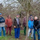 Baumpflege unter professioneller Anleitung  – ALTRIP BLÜHT | 16.03.2019