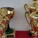 66. Internationales Sandbahnrennen  – Motorsportclub Altrip | 20.06.2019