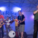 Die Anonyme Giddarischde im Altriper Waldpark | 28.06.2019