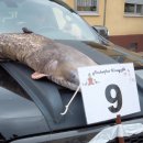 Großer Festumzug zum Altriper Fischerfest | 07.07.2019