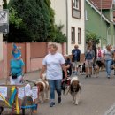 Großer Festumzug zum Altriper Fischerfest | 07.07.2019