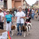 Großer Festumzug zum Altriper Fischerfest | 07.07.2019