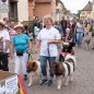 Großer Festumzug zum Altriper Fischerfest | 07.07.2019