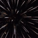 Das Abschlussfeuerwerk beim Altriper Fischerfest | 08.07.2019