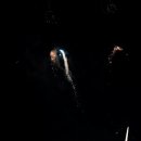 Das Abschlussfeuerwerk beim Altriper Fischerfest | 08.07.2019