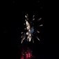Das Abschlussfeuerwerk beim Altriper Fischerfest | 08.07.2019