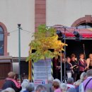 Singen unter den Kastanien | 13.09.2019