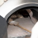 Altriper Backhausfest – HGV Altrip | 05.10.2019