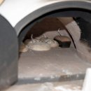 Altriper Backhausfest – HGV Altrip | 05.10.2019