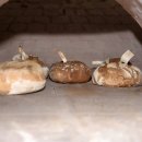 Altriper Backhausfest – HGV Altrip | 05.10.2019