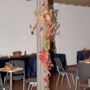 Bioweinverkostung – B'90 / Grüne | 19.10.2019