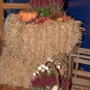 Bioweinverkostung – B'90 / Grüne | 19.10.2019