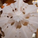 01.11.2019 | Ausstellung der Altriper Hobbykünstler