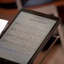 Die Goldmarie von Altrip | 10.11.2019