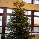 Senioren-Weihnachtsfeier | 05.12.2019