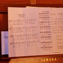 Senioren-Weihnachtsfeier | 05.12.2019