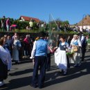 Winzerumzug Bockenheim 2014