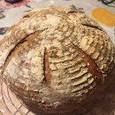 WhatsApp-Backen | August 2020