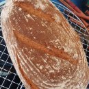 WhatsApp-Backen | August 2020