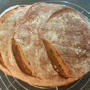 WhatsApp-Backen | August 2020