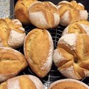 WhatsApp-Backen | September 2020