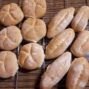 WhatsApp-Backen | September 2020