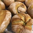 WhatsApp-Backen | September 2020