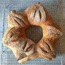 WhatsApp-Backen | Dezember 2020