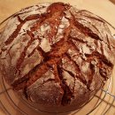 WhatsApp-Backen | Januar 2021