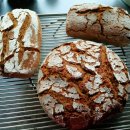 WhatsApp-Backen | Januar 2021