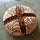 WhatsApp-Backen | Januar 2021