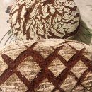 WhatsApp-Backen | Januar 2021