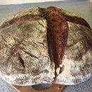 WhatsApp-Backen | Juli 2021