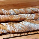 WhatsApp-Backen | November 2021