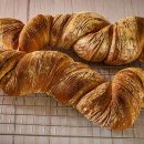 WhatsApp-Backen | November 2021