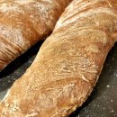 WhatsApp-Backen | November 2021