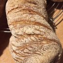 WhatsApp-Backen 2021