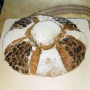 WhatsApp-Backen | Januar 2022